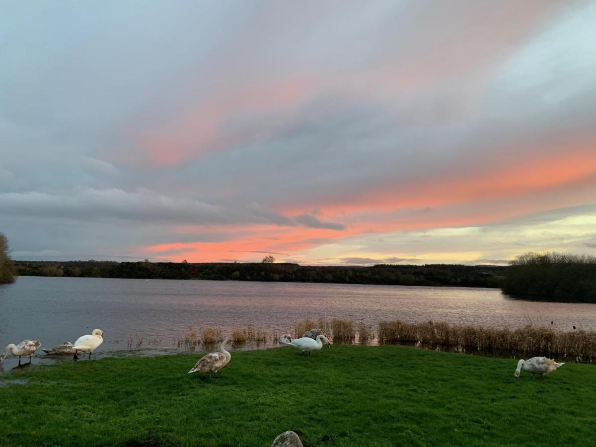 Lochside Loft - Self Catering Apartment For 2 In A Great Location For Inverness Airport And Both Cabot Highlands & Nairn Golf Courses Exterior photo